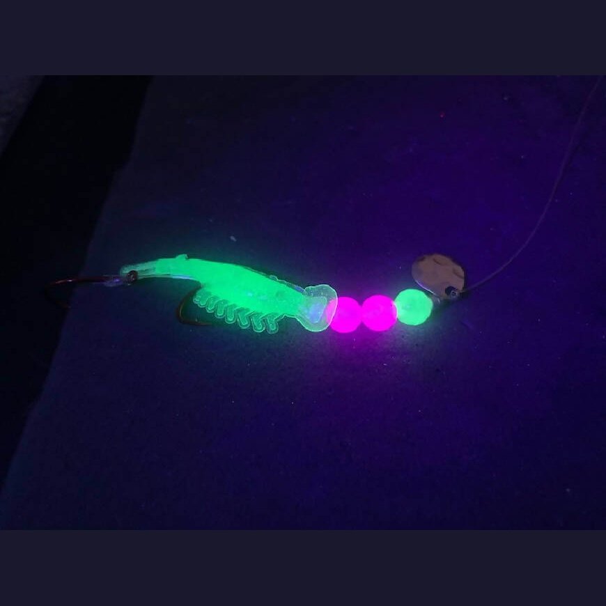 Super Micro Glow Shrimp