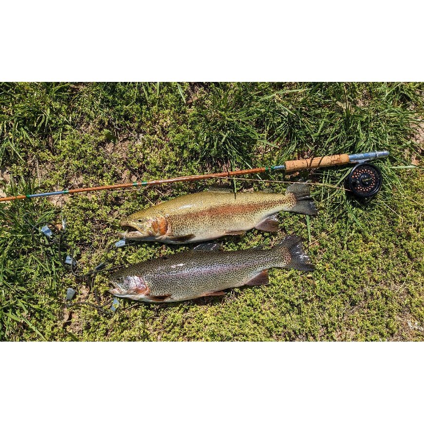 Vintage split bamboo fly/trolling rod by TheOldFlyMan - bamboo,Fishing,Hand Made,sections,split,Tackle,trolling,vintage