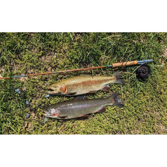Vintage split bamboo fly/trolling rod by TheOldFlyMan - bamboo,Fishing,Hand Made,sections,split,Tackle,trolling,vintage