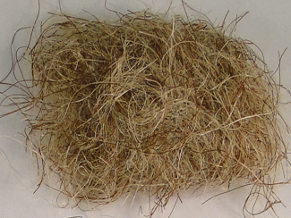 Big Bopper Dubbing by Trusted Trout - dubbing,Fishing,Hand Made,Tackle