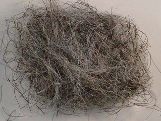 Big Bopper Dubbing by Trusted Trout - dubbing,Fishing,Hand Made,Tackle