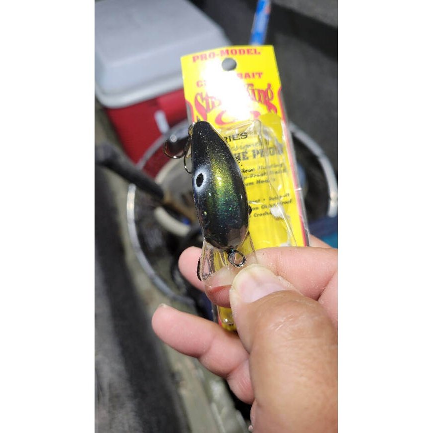Strike King Repaint by A.M. Anglers - crankbait,Fishing,Hand Made,Jerkbait,minnow,Tackle