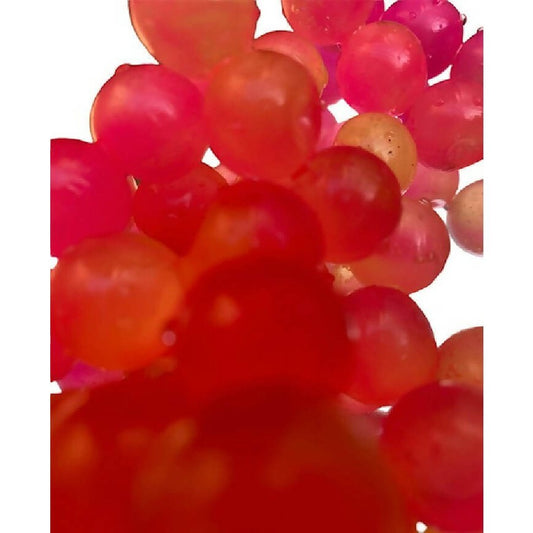 Crazy by God Scent Fishing - 14mm,16mm,beads,crazy,dark,Fishing,fishingsoft,glow,Hand Made,scent,soft,Soft Beads for Fishing,Tackle,these