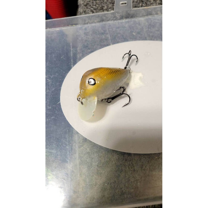 Balsa Wakebait by A.M. Anglers - #topwater #hardbait,balsa,crankbaittopwater,Fishing,Hand Made,hardbait,special,Tackle,topwater