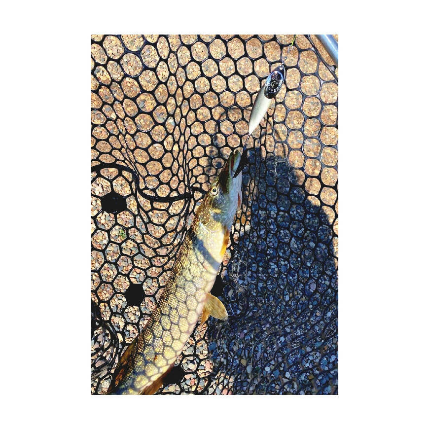 Minnow • Fathead • Nickel Blade • #4 by Fosco Fishing Lures - bestsellers-resort,Fishing,Hand Made,Tackle