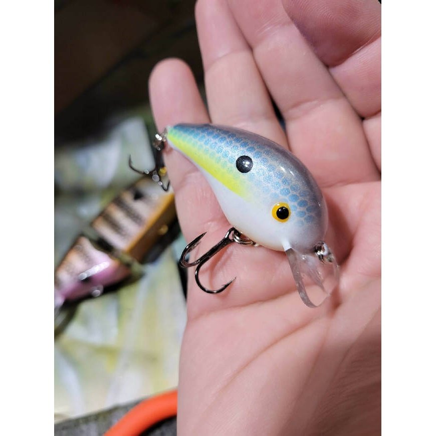 Strike King Repaint by A.M. Anglers - crankbait,Fishing,Hand Made,Jerkbait,minnow,Tackle